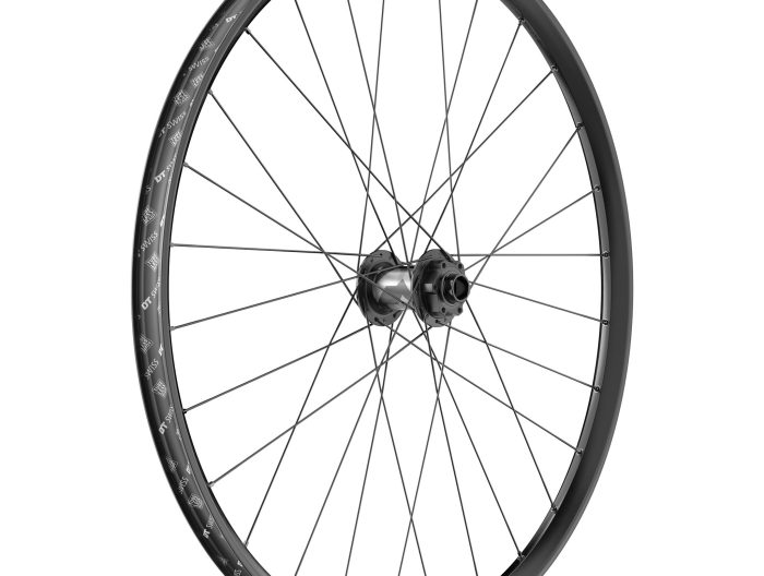 DT Swiss F 1900 Classic Front Wheel, 29", 20x110 Boost