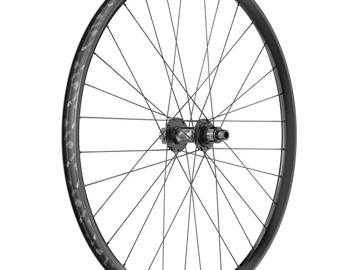 DT Swiss F 1900 Classic Rear Wheel, 29", 12x157, XD