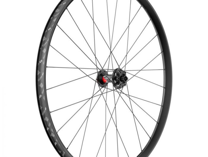 DT Swiss FR 1500 Classic Front Wheel, 29", 15x110