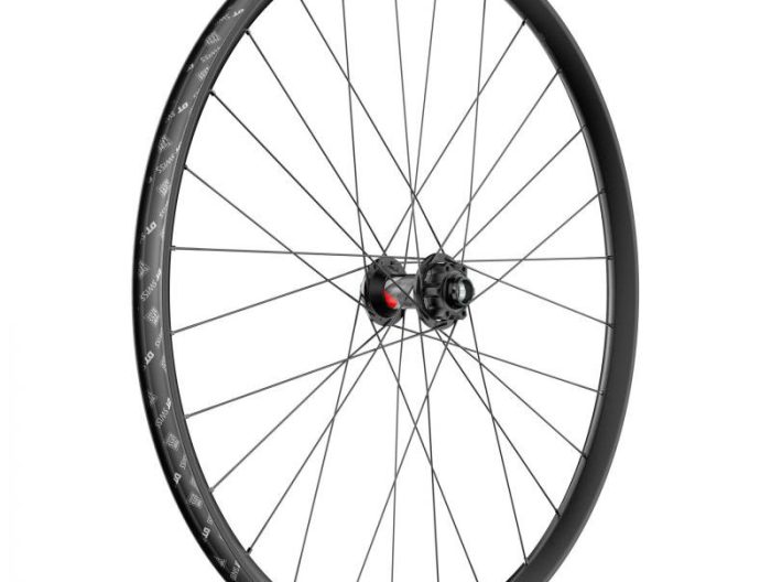 DT Swiss FR 1500 Classic Front Wheel, 29", 20x110 Boost