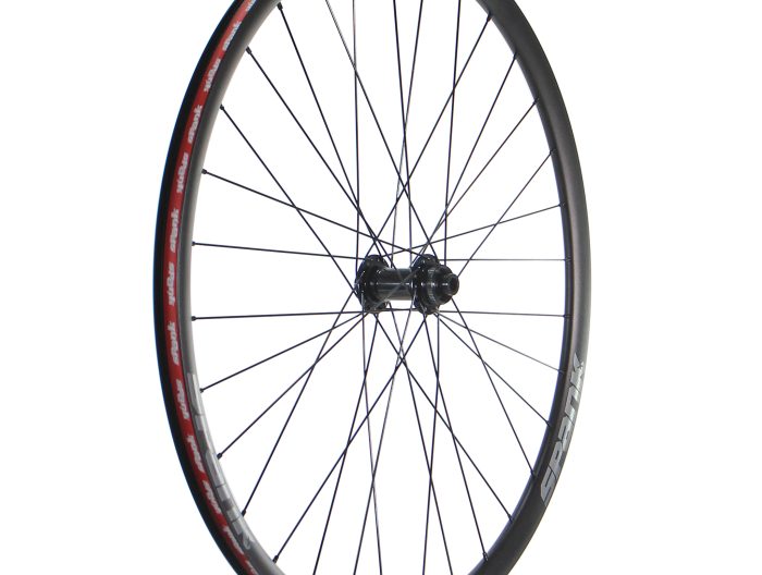 Wheel Factory Spank Wing22 700c Bitex BX106, 12x100, CL