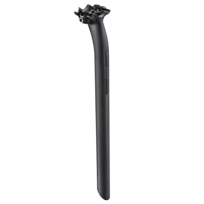 Ritchey Superlogic Flexlogic 1-Bolt Post, 27.2x350mm, Carbon