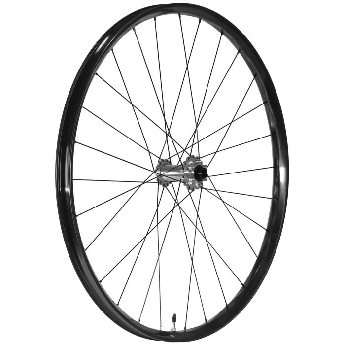 We Are One Triad 29" Front Wheel, 15x110, Silver/Black