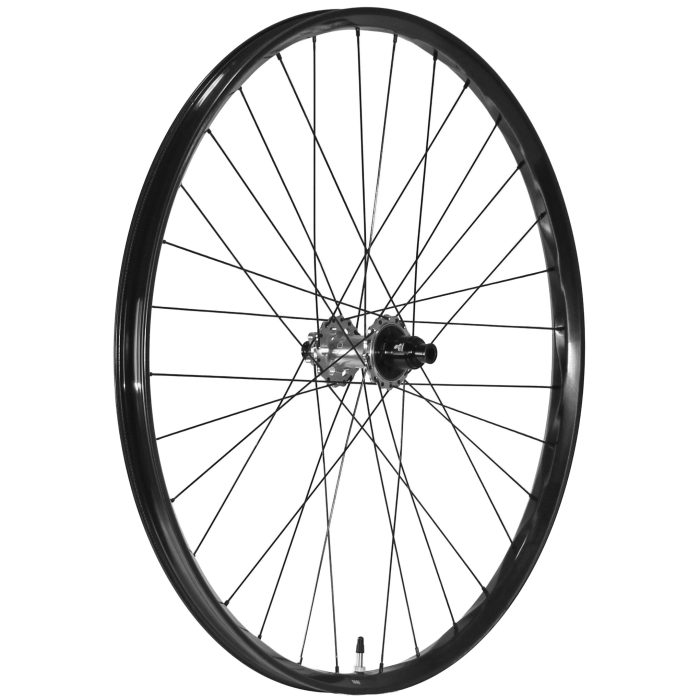 We Are One Triad 29" Rear Wheel, 12x157, XD, Silver/Black