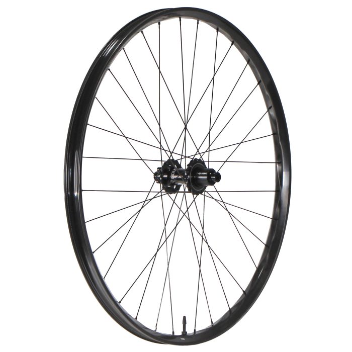We Are One Triad 29" Rear Wheel, 12x148, MS, Black