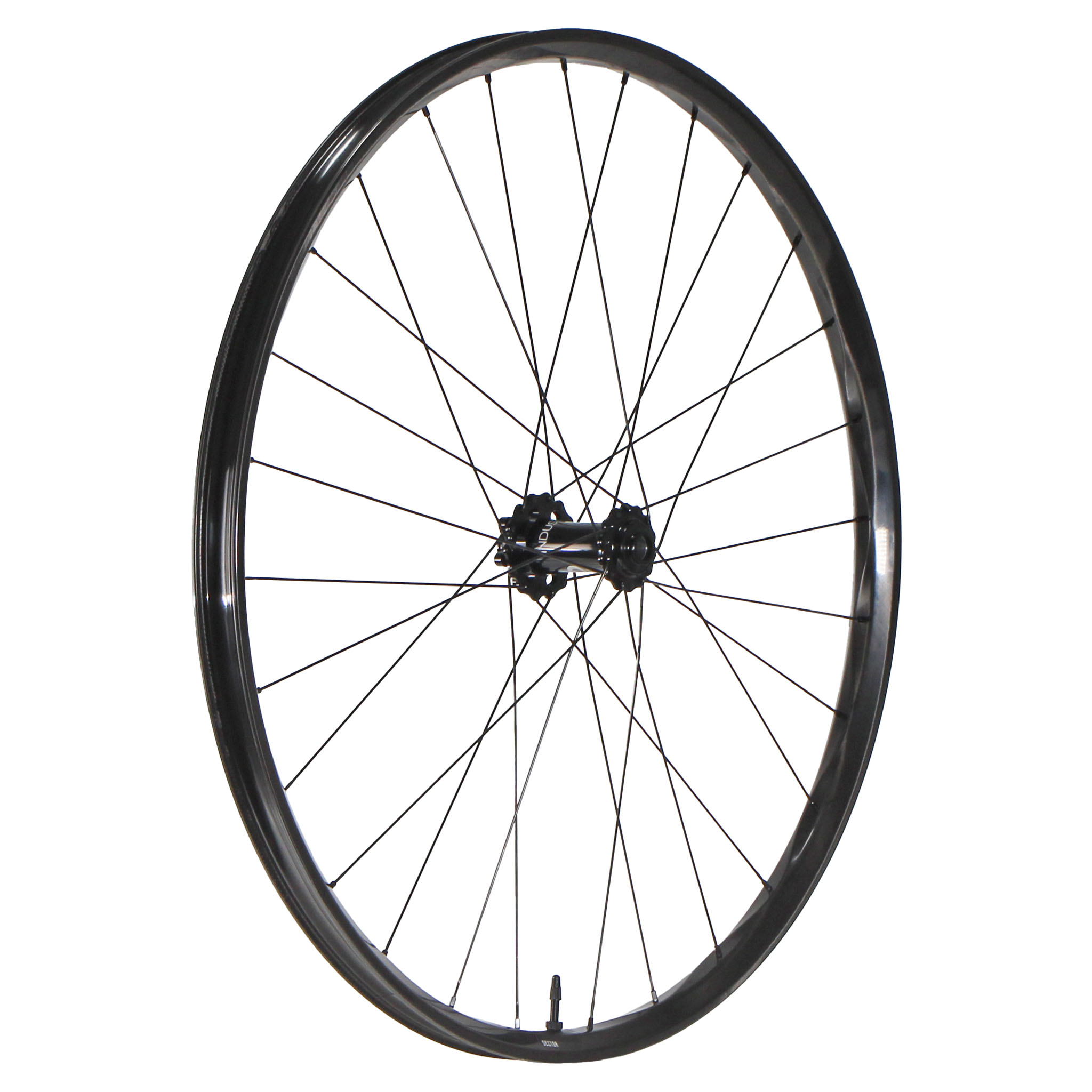 We Are One Sector 29" Front Wheel, 15x110, Black